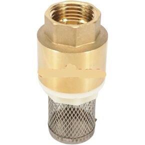 3/4" Internal Thread Brass Valve Body Stainless Steel mesh Spring Check Valve with Filter 1.6 Mpa in Saudi Arabia