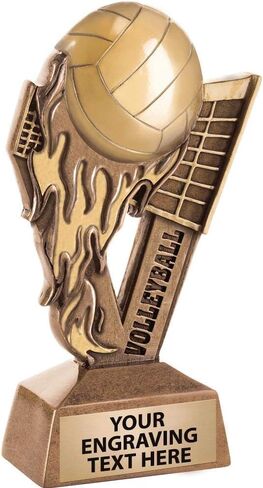 جوائز التاج 6 بوصات للكرة الطائرة النارية، جائزة كأس الكرة الطائرة المحفورة خصيصًا in Kuwait