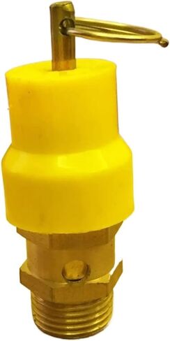 0.8Mpa 3/8" BSPT Air Compressor Pressure Relief Valve Safety Release Valve in Saudi Arabia