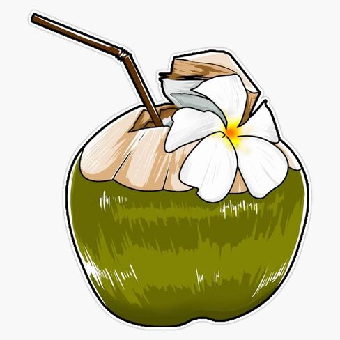 Coconut Sticker Decal Vinyl Bumper Stickers Waterproof 5" in Saudi Arabia