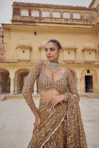 Bollywood inspired Designer Net Saree with hand embroidered unstitched blouse, Traditional Wedding Wear. in Kuwait