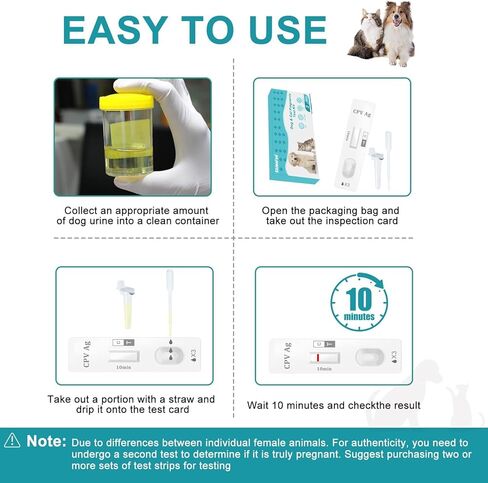 طقم اختبار الحمل للكلاب والقطط في المنزل، اختبار بول الكلاب - يعتمد على البول، دقيق بنسبة 98.8%، نتائج خلال 10 دقائق، غير مؤلم (قطعة واحدة) in Kuwait