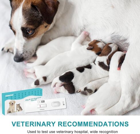 طقم اختبار الحمل للكلاب والقطط في المنزل، اختبار بول الكلاب - يعتمد على البول، دقيق بنسبة 98.8%، نتائج خلال 10 دقائق، غير مؤلم (قطعة واحدة) in Kuwait