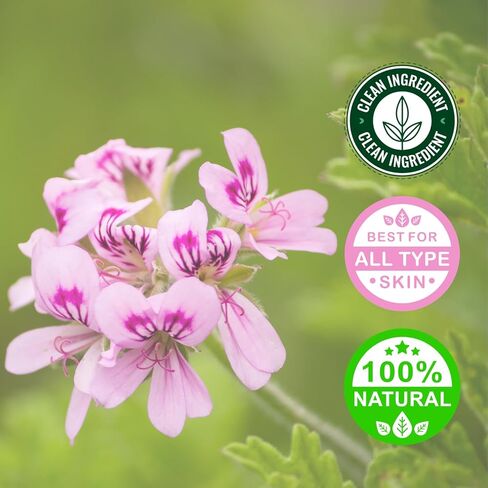 زيت إبرة الراعي العطري – 4 أونصة سائلة (118 مل) زجاجة زجاجية مع غطاء – نقي 100% – GreenHealth in Saudi Arabia