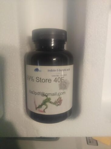 indole butyric Acid iba 26 GMS in Saudi Arabia