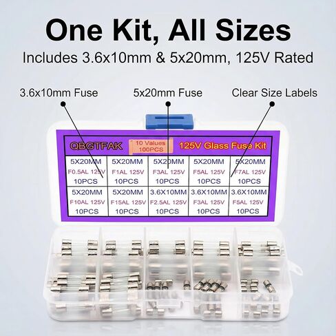 10 Values 100 pcs Christmas Light fuses 5x20mm Fuse 125V 0.5A, 1A, 3A, 5A, 7A, 10A, 15A and 3.6x10mm Mini Fuse 125V 2.5A, 3A, 5A, Fast-Blow Glass Fuses Assortment Kit in Saudi Arabia