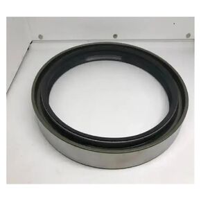 BW4526H EX200-2/3/5 EX220-2/3/5 GEARL Oil Seal for DB 190-225-21 4246275 EX200-2 EX200-3 -5 in Kuwait