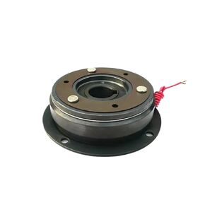 DLD5-160 24VDC 160NM Single Piece Dry Energized Electromagnetic Clutch Small Plate Shaft Installation in Saudi Arabia