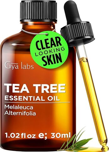 Gya Labs Tea Tree Essential Oil - 1.02 Fl Oz - for Diffuser, Massage, Hair, Skin, Aromatherapy, Soap & Candle Making Scents in Saudi Arabia
