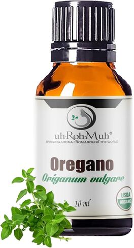 زيت الأوريجانو العطري العضوي – 100% مقطر بالبخار النقي | أوريجانوم فولغاري من إسبانيا | زيت عطري طبيعي للناشر والجلد (المخفف) والصحة والطهي | الصف العلاجي | 4 أونصة سائلة in Kuwait