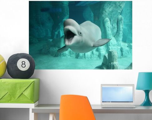 Wallmonkeys WM287607 Beluga Wall Decal Peel and Stick Graphic (36 in W x 24 in H) in Saudi Arabia