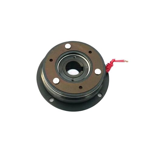 DLD5-160 24VDC 160NM Single Piece Dry Energized Electromagnetic Clutch Small Plate Shaft Installation in Saudi Arabia