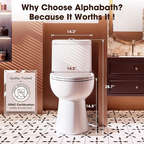 17" Comfort Height Toilet with Soft close seat, One piece Toilets for Bathrooms Elongated, Dual Flush 0.8/1.28 GPF, Nano Self-Cleaning Glaze, Easy to Clean&Install, ADA Height, 12" Rough-In in Saudi Arabia
