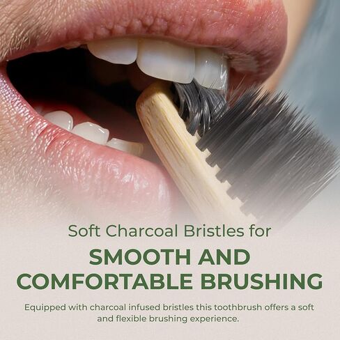 مجموعة فرشاة أسنان بورسونيك ذات رأس واسع مع مقبض خشبي من خشب الأرز وشعيرات فحمية ناعمة - فرش طبيعية للعناية بالفم مناسبة للسفر مع تصميم قبضة مريح لجميع الفئات العمرية - عبوة من 6 قطع in Kuwait