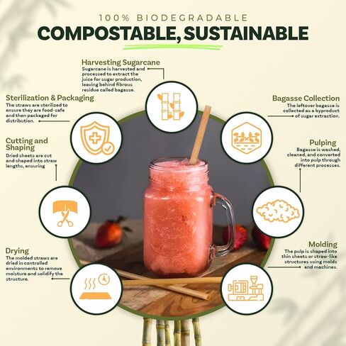 Weemium Sugarcane Straws [300 Pack] 8.25" | FSC Certified 100% Compostable Straws Disposable for Warm and Cold Drinks | Plastic-free & Biodegradable Packaging | Eco friendly made with Sugarcane Fiber in Saudi Arabia