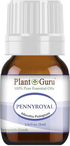 Pennyroyal Essential Oil 5 ml 100% Pure Undiluted Therapeutic Grade. in Saudi Arabia