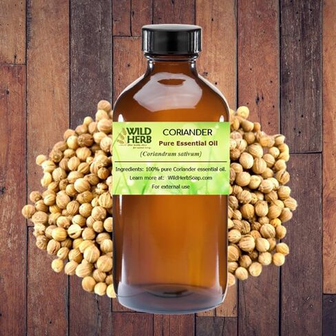 Wild Herb Coriander Pure Essential Oil (4 OZ) in Saudi Arabia
