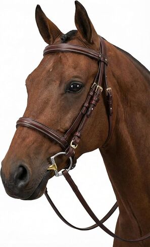 CHALLENGER Horse English Riding Double Jointed Dee-Ring Dog Bone Snaffle Horse Bit 35568VAR in Saudi Arabia