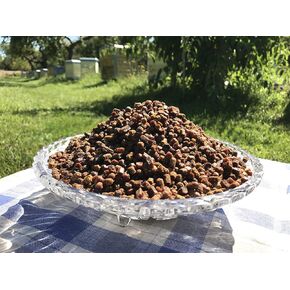 خبز النحل العضوي الطازج 100%، البرجا، الطعام الشهي، حبوب اللقاح المخمرة بشكل طبيعي، 1.76 أونصة / 50 جرام، جودة ممتازة، تعبئة مفرغة من الهواء. in Kuwait