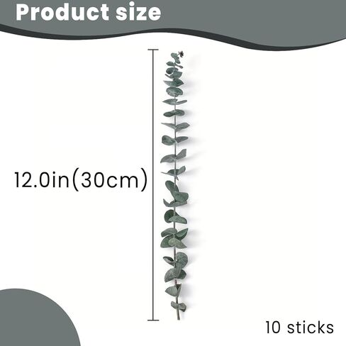 10 PCS Preserved Eucalyptus Stems, 12 Inches Natural Artificial Flower Bouquet for Home Decor/Floral Arrangements/Weddings/Spa Showers, Artificial Eucalyptus, Green in Saudi Arabia