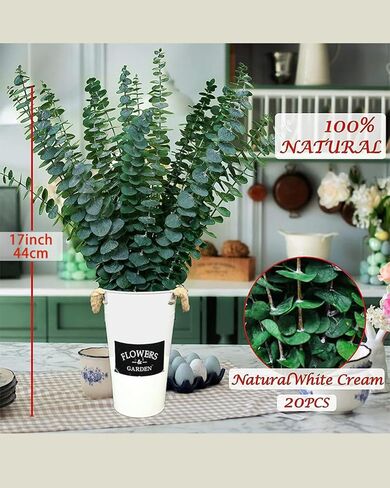 10 PCS Preserved Eucalyptus Stems, 12 Inches Natural Artificial Flower Bouquet for Home Decor/Floral Arrangements/Weddings/Spa Showers, Artificial Eucalyptus, Green in Saudi Arabia