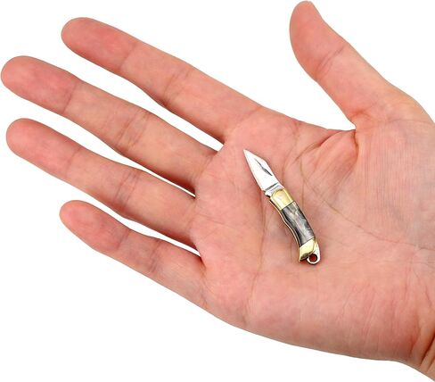 Miniature Gadgets Pocket Knife, Eastern Delights EDC Ultra Smallest Multifunction Cutting Blade Tool (Black Shell Handle) in Kuwait