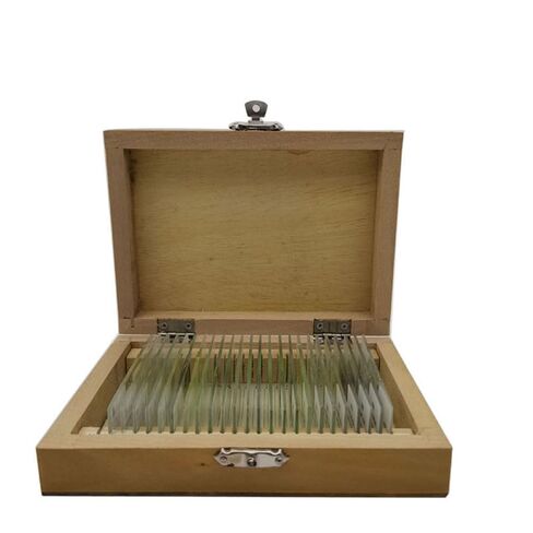 24pcs/Set Geology Microscope Prepared Slides Mineral Thin Section Slides in Kuwait