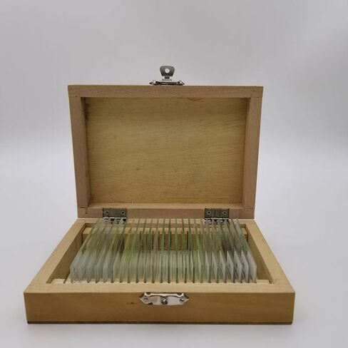 24pcs/Set Geology Microscope Prepared Slides Mineral Thin Section Slides in Kuwait