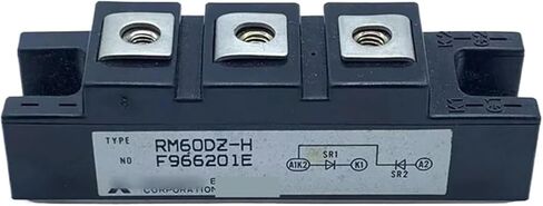 RM60DZH Power Module in Saudi Arabia