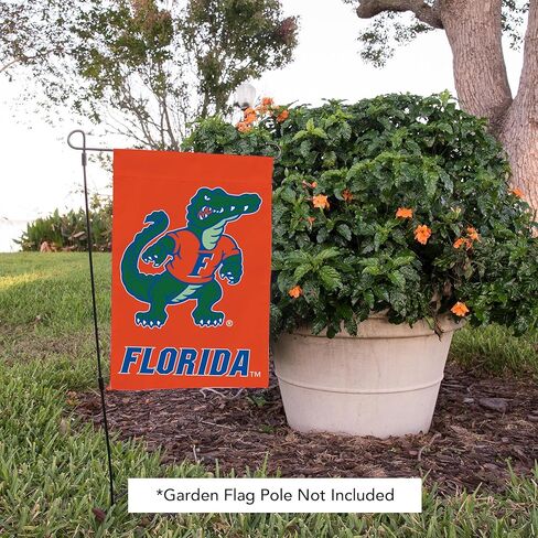 علم حديقة Desert Cactus University of Florida UF - لافتة فلوريدا جاتورز مقاس 19 × 12 بوصة، للعرض والمناسبات الخارجية (تصميم J) in Saudi Arabia