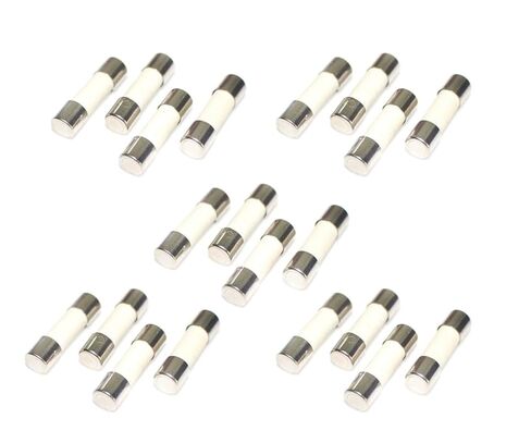 16A, T16A, 16AH250V, 16AH, Ceramic Fuse, T16A 250V, Slow Breaking Fuse 5 * 20mm /0.19 * 0.78inch (20Pcs) in Saudi Arabia