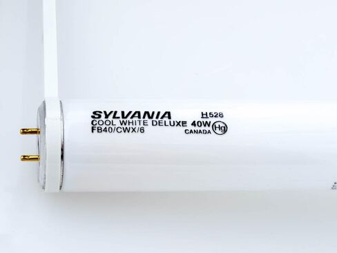 Sylvania, 1 Pack, Cool White in Saudi Arabia