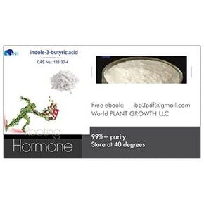 Indole-3-butyric acid 99% High Purity Powder 100g Tamper Sealed Bottle .#GH45843 3468-T34562FD45935 in Saudi Arabia