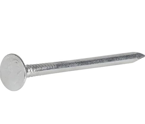 مسامير التسقيف المجلفنة كهربائيًا (2 بوصة) - صندوق 5 رطل in Kuwait