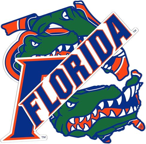 ملصق جامعة صبار الصحراء في فلوريدا UF Gators ملصق شارات الفينيل زجاجة مياه للكمبيوتر المحمول للسيارة T2 (النوع 2-3) in Saudi Arabia