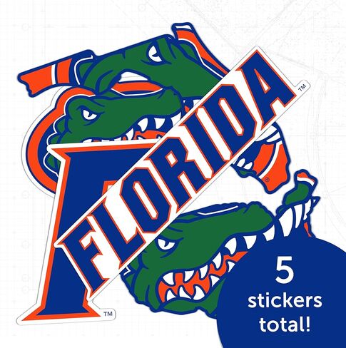 ملصق جامعة صبار الصحراء في فلوريدا UF Gators ملصق شارات الفينيل زجاجة مياه للكمبيوتر المحمول للسيارة T2 (النوع 2-3) in Saudi Arabia