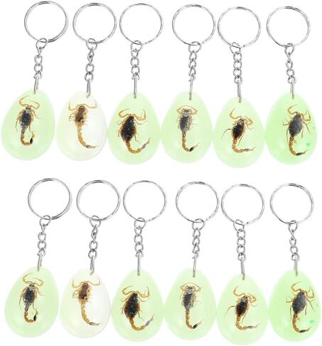 Scorpion Amber Keychain Set 12pcs Resin Specimen Key Rings Luminous Insect Pendants for Collectors and DIY Decorations Random Style in Saudi Arabia
