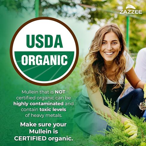 Zazzee USDA Organic Mullein Leaf 10:1 Extract, 120 Vegan Capsules, 4 Month Supply, Verbascum Thapsus, Respiratory & Lung Support, Organic Herbal Supplement, All-Natural, Non-GMO, Made in the USA in Saudi Arabia
