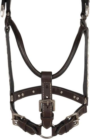 شنايدرز فينيكس سيلفر شو هالتر للخيول ذات الرصاص - ملطخ قليلاً | لهجات جنوب غربية من الفضة والذهب محفورة يدويًا | جلد أرجنتيني ناعم ملائم بشكل مريح | اللون زيتي غامق | حجم الحصان الكامل in Kuwait