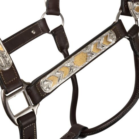 شنايدرز فينيكس سيلفر شو هالتر للخيول ذات الرصاص - ملطخ قليلاً | لهجات جنوب غربية من الفضة والذهب محفورة يدويًا | جلد أرجنتيني ناعم ملائم بشكل مريح | اللون زيتي غامق | حجم الحصان الكامل in Kuwait