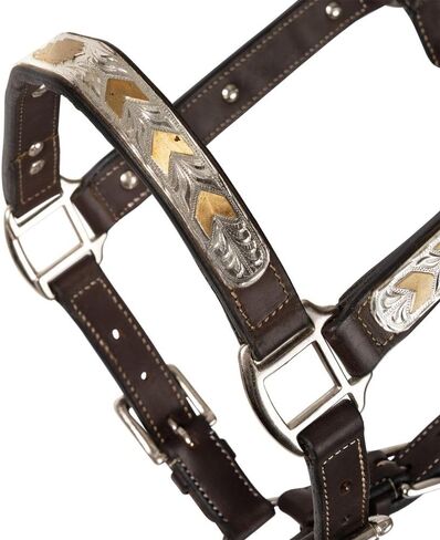 شنايدرز فينيكس سيلفر شو هالتر للخيول ذات الرصاص - ملطخ قليلاً | لهجات جنوب غربية من الفضة والذهب محفورة يدويًا | جلد أرجنتيني ناعم ملائم بشكل مريح | اللون زيتي غامق | حجم الحصان الكامل in Kuwait