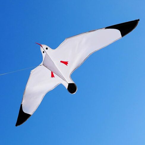 HENGDA KITE 2 Pack Pigeon Seagull Kites for Kids and Adults，Dove of Peace Kite Easy to Fly,Beach Kites for Family Outdoor Toy Games & Activities,Suitable for Beginners in Saudi Arabia