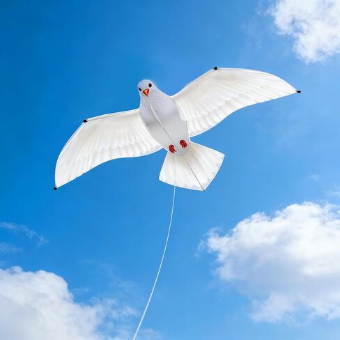 HENGDA KITE 2 Pack Pigeon Seagull Kites for Kids and Adults，Dove of Peace Kite Easy to Fly,Beach Kites for Family Outdoor Toy Games & Activities,Suitable for Beginners in Saudi Arabia