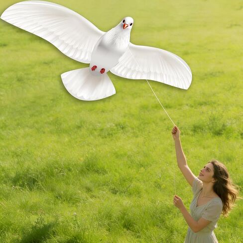 HENGDA KITE 2 Pack Pigeon Seagull Kites for Kids and Adults，Dove of Peace Kite Easy to Fly,Beach Kites for Family Outdoor Toy Games & Activities,Suitable for Beginners in Saudi Arabia