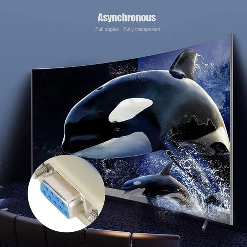 Brrnoo RS232 Isolator Serial Adapter with DB9 Connector, Optoelectronic Isolator for Temperature Control, Full Duplex Transparent Transmission Asynchronous Communication Device in Kuwait