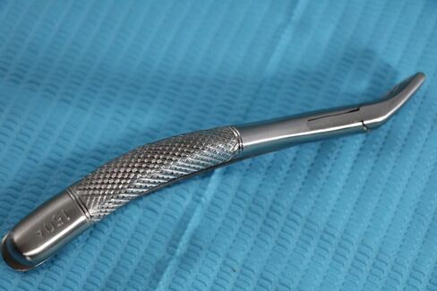 New German Stainless Set of 10 Each EXTRACTING Forceps Extraction Dental Instruments in Saudi Arabia