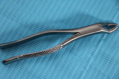 New German Stainless Set of 10 Each EXTRACTING Forceps Extraction Dental Instruments in Saudi Arabia