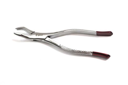 أدوات طب الأسنان الألمانية الجديدة المتميزة للخدمة الشاقة، FORCEP NO 53R in Kuwait