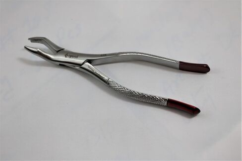 أدوات طب الأسنان الألمانية الجديدة المتميزة للخدمة الشاقة، FORCEP NO 53R in Kuwait