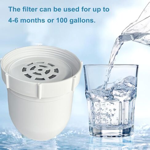 2-pack Water filtered Replacement Filter Compatible with Clearly filtered Water Pitcher 100-gallon service life 2 coconut shell activated carbon filters + 1 pre-rinse bag in Saudi Arabia